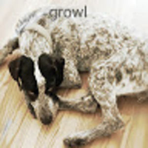 Meet your Posher, Isabella